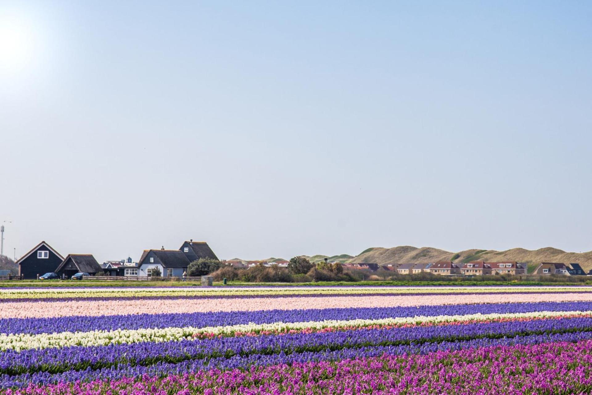 Beach Appartement 14 - Aan De Duinen, Callantsoog Aan Zee Extérieur photo